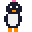 Female penguin